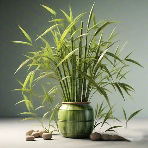 símbolo del feng shui bambú