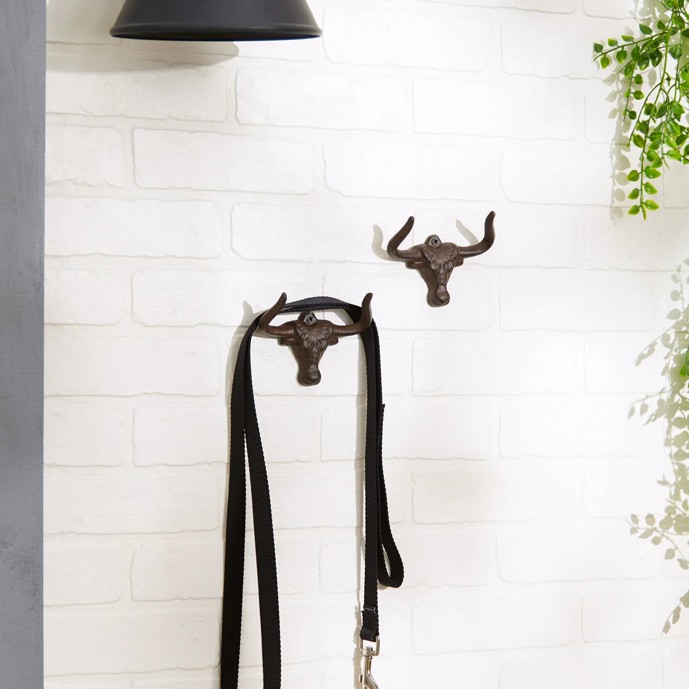 Ox Wall Hooks Set / 2