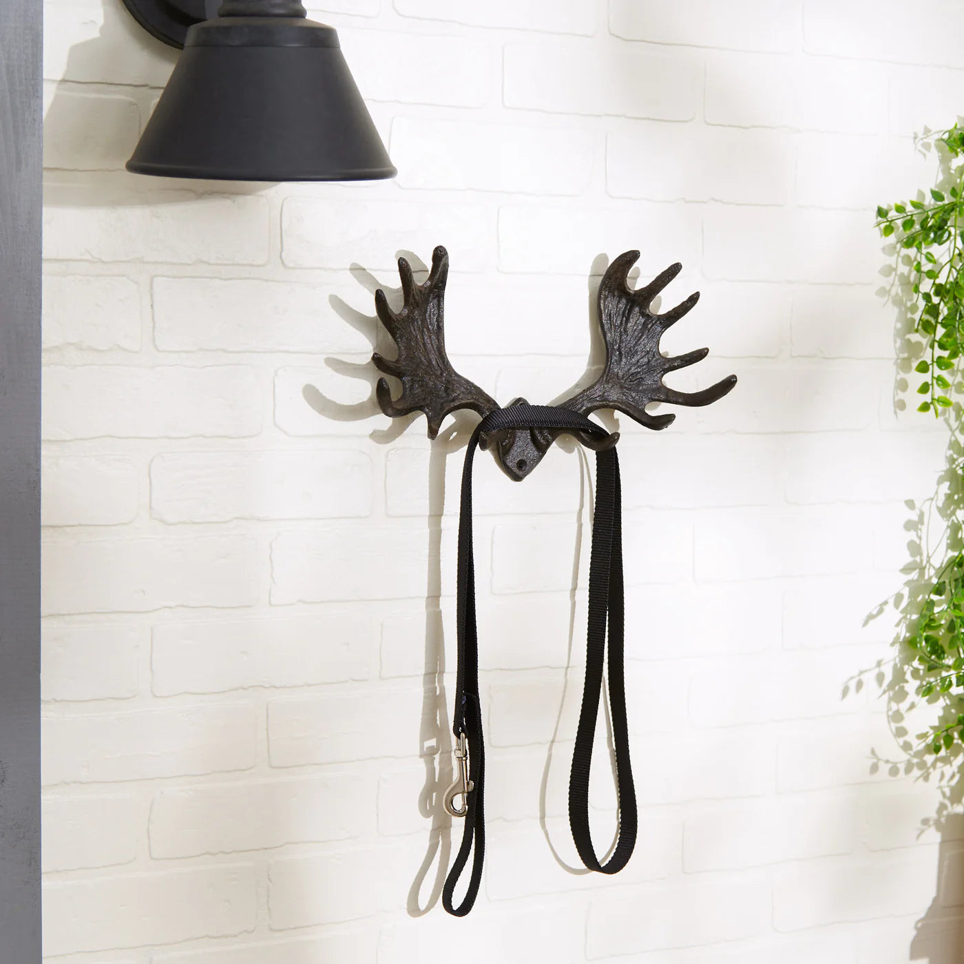 Moose Antler Wall Hooks