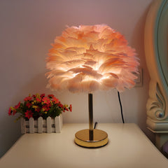 pink color feather lamp