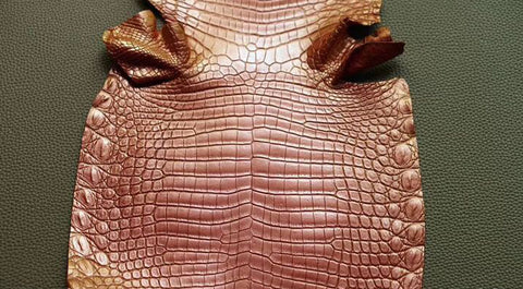 Nile crocodile leather