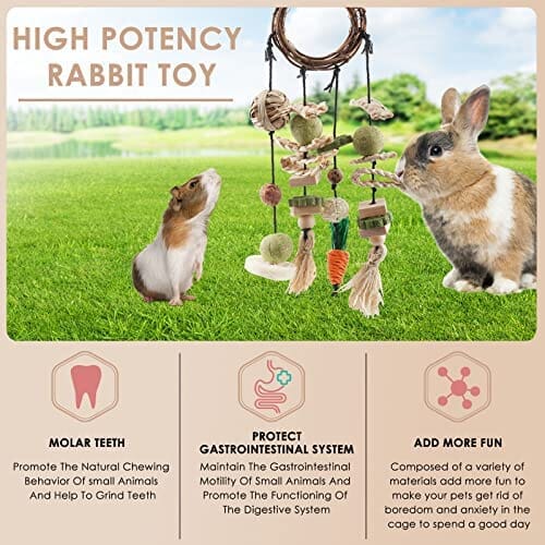 Rattan Ring with Snacks for Guinea Pigs Chinchillas Hamsters Rats and Other Small Pets Teeth Grinding