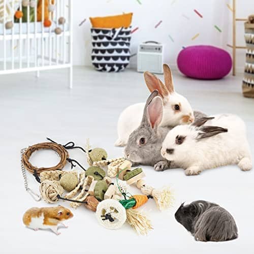 Rattan Ring with Snacks for Guinea Pigs Chinchillas Hamsters Rats and Other Small Pets Teeth Grinding