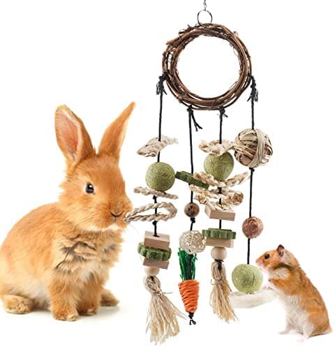 Rattan Ring with Snacks for Guinea Pigs Chinchillas Hamsters Rats and Other Small Pets Teeth Grinding