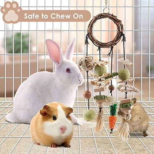 Rattan Ring with Snacks for Guinea Pigs Chinchillas Hamsters Rats and Other Small Pets Teeth Grinding