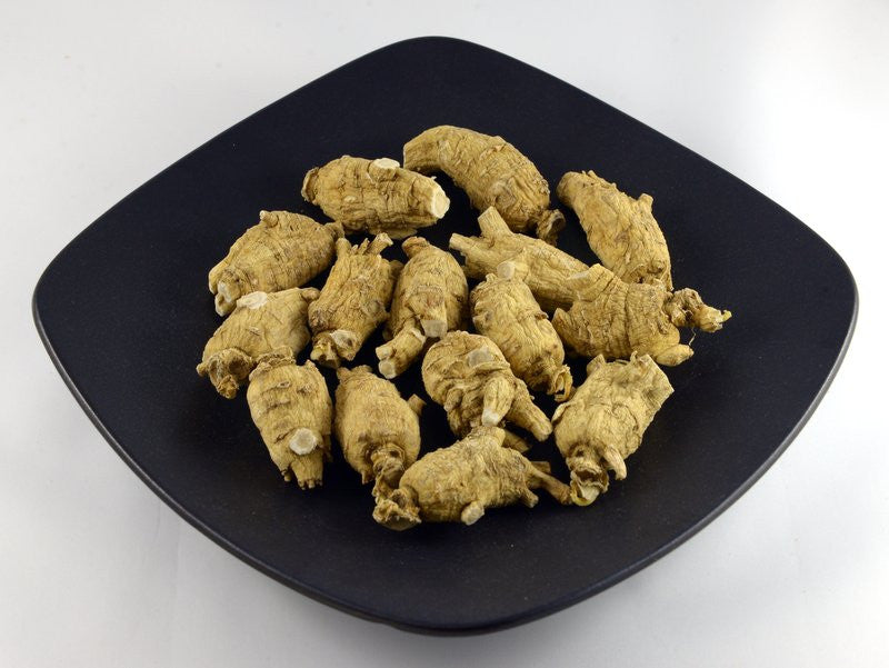 b2roundchunkyxlarge特大号圆枝泡参每粒1015gperroot