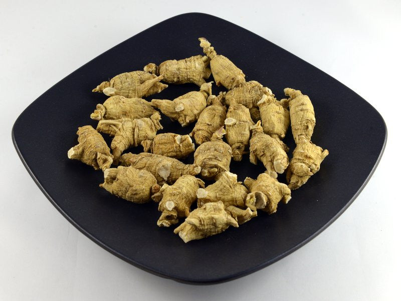 b3 round chunky - large 大号圆枝泡参 | 每粒5