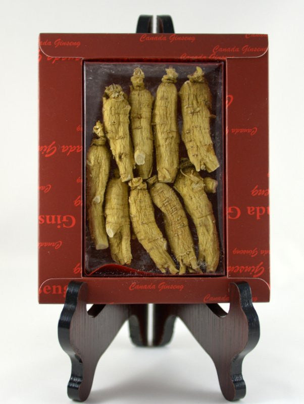 c2shortchunkyxlarge特大号短枝泡参每根1015gperroot