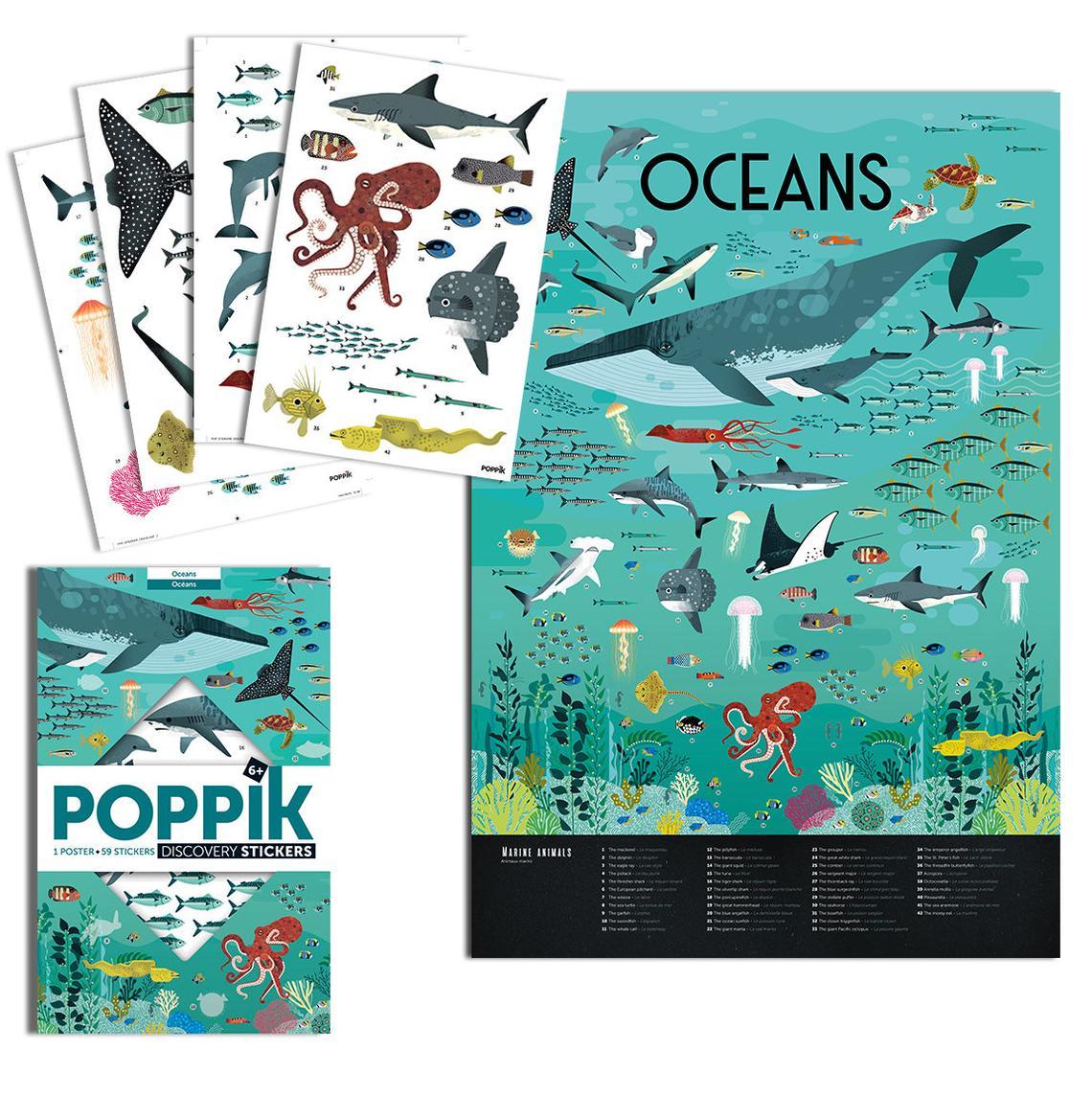 Animals of the Ocean Discovery Sticker Poster