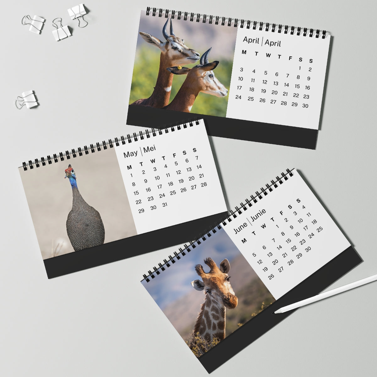 African Wildlife 2023 Desk Calendar