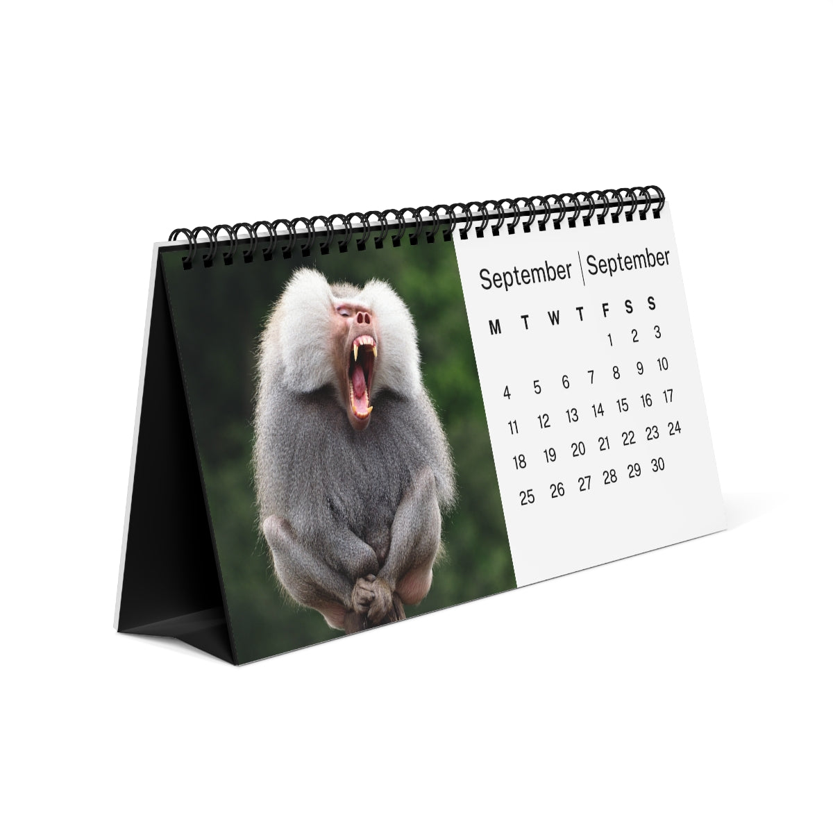 African Wildlife 2023 Desk Calendar