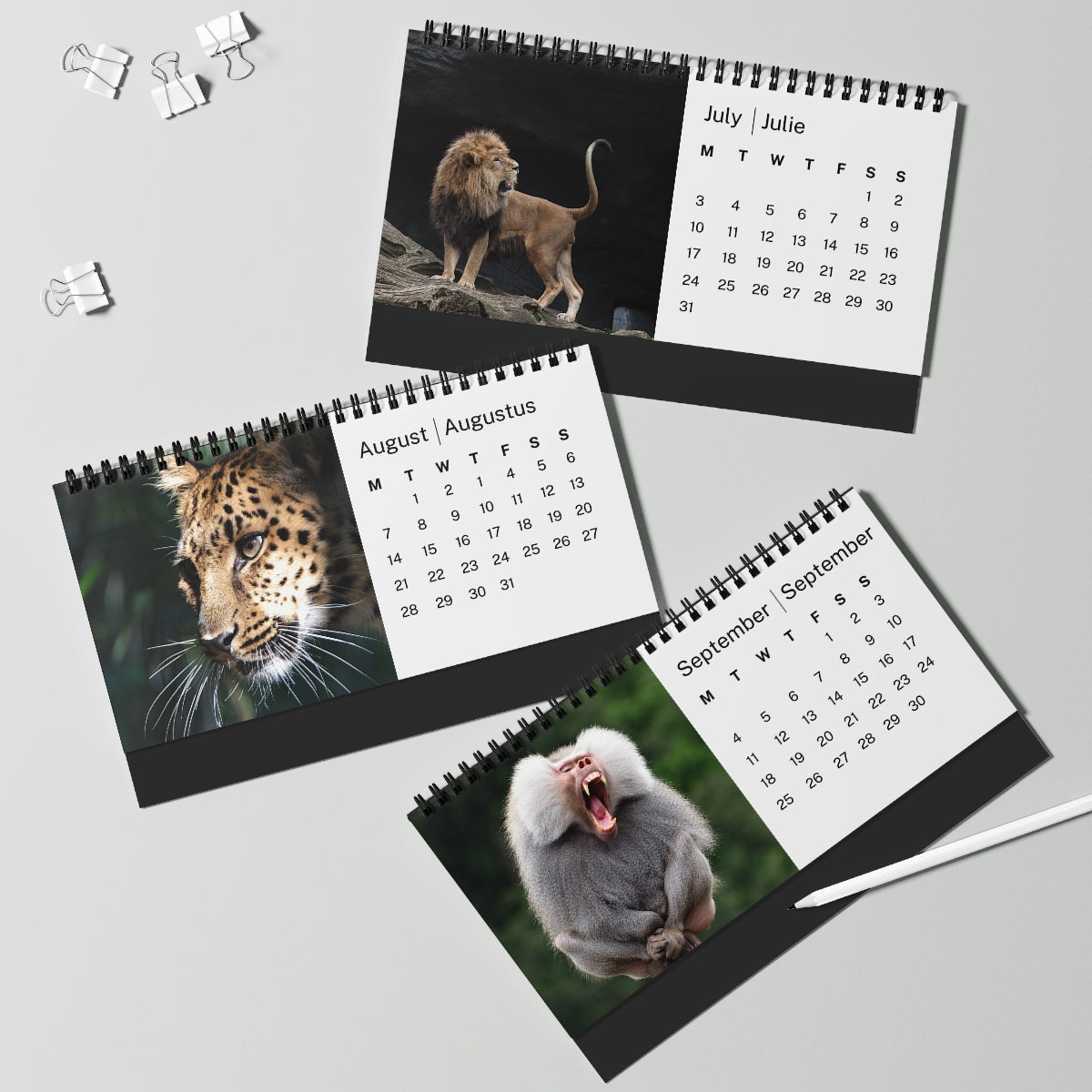 African Wildlife 2023 Desk Calendar