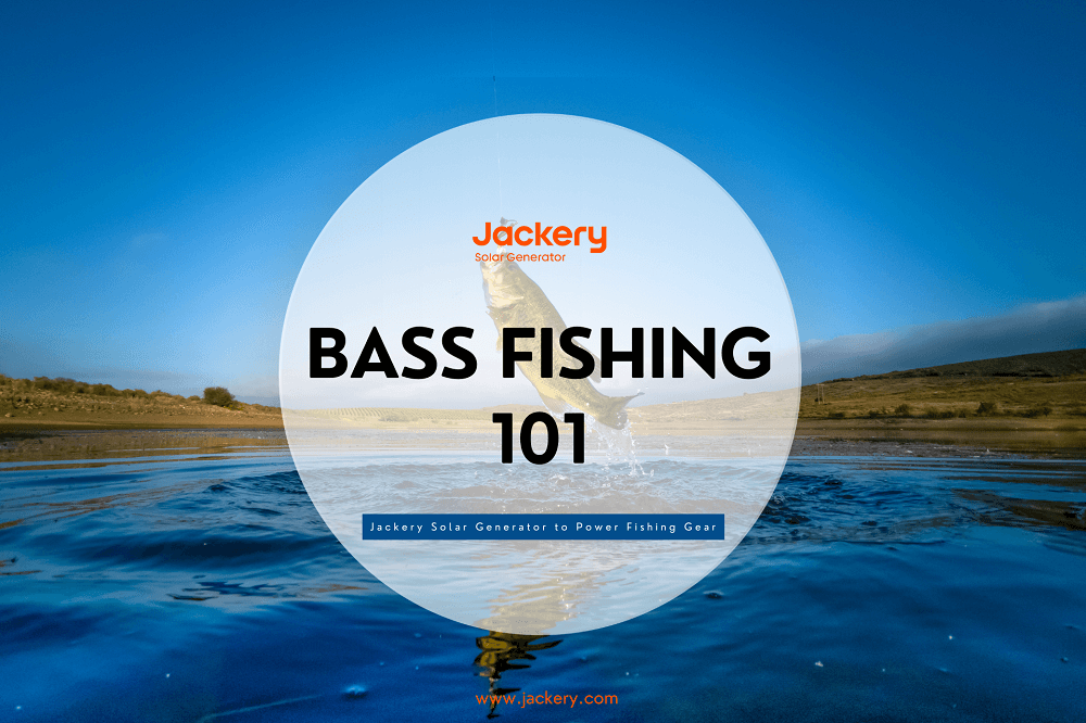 Bass Fishing 101: How to Catch Bass -Jackery