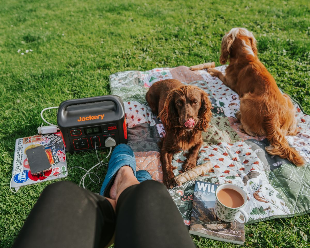 best road trip with dogs