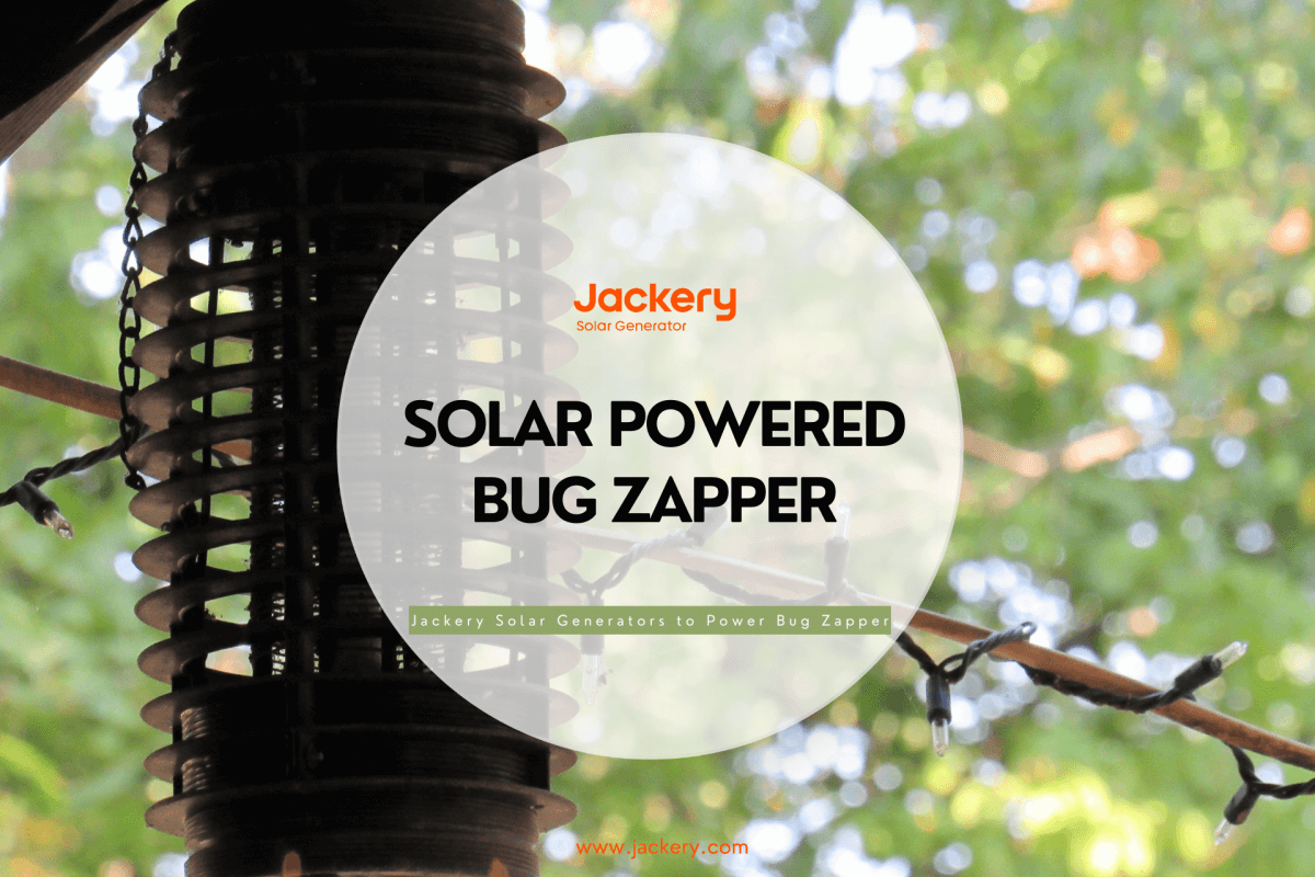 solar powered bug zapper
