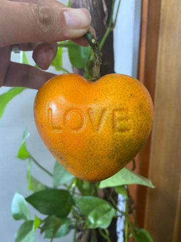 heart shaped orange