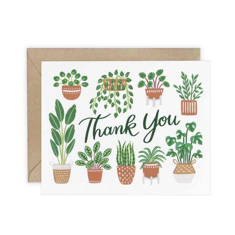 Boxed Thank You Cards 