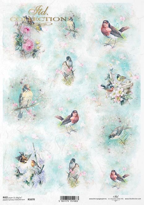 Spring Birds | Rice Paper