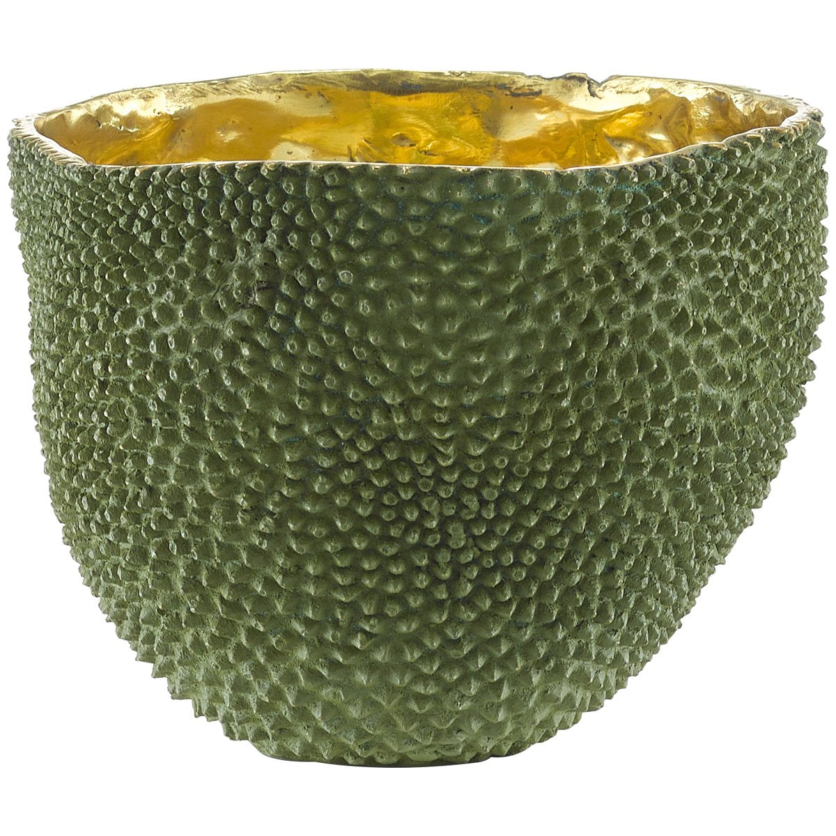  Currey and Company Jackfruit Large Vase 