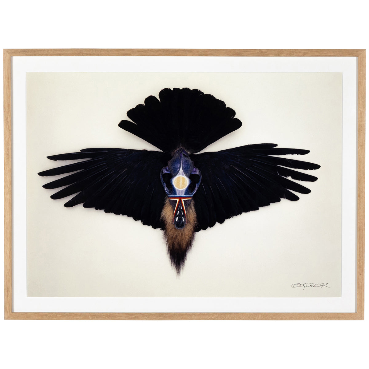  Four Hands Art Studio Coyote Crow by Boyd Elder 