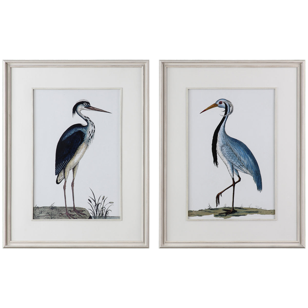  Uttermost Shore Birds Framed Prints, Set of 2 