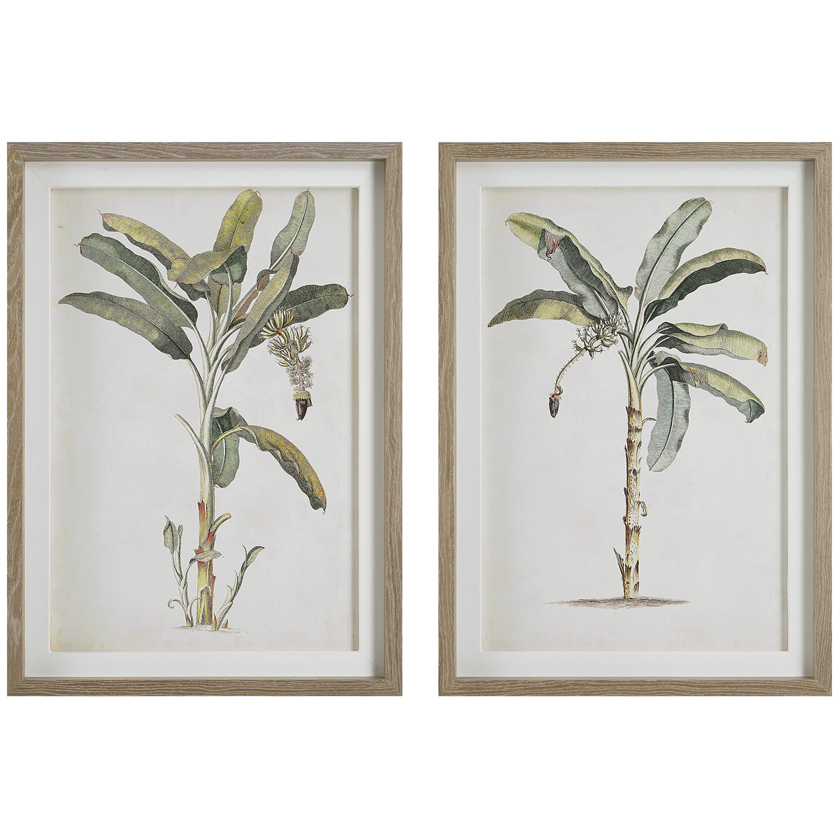  Uttermost Banana Palm Framed Prints, Set of 2 