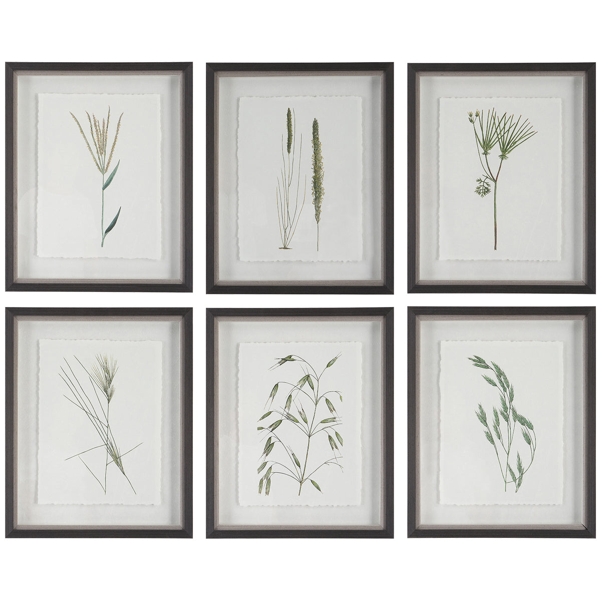  Uttermost Forest Finds Framed Prints, 6-Piece Set 