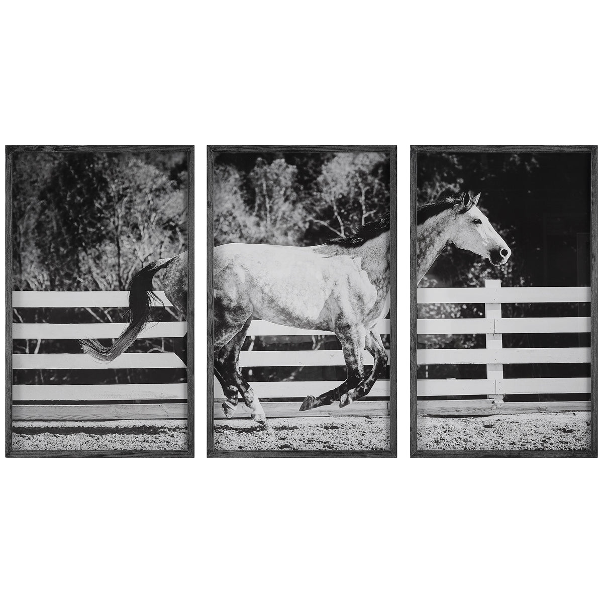  Uttermost Galloping Forward Equine Prints, 3-Piece Set 