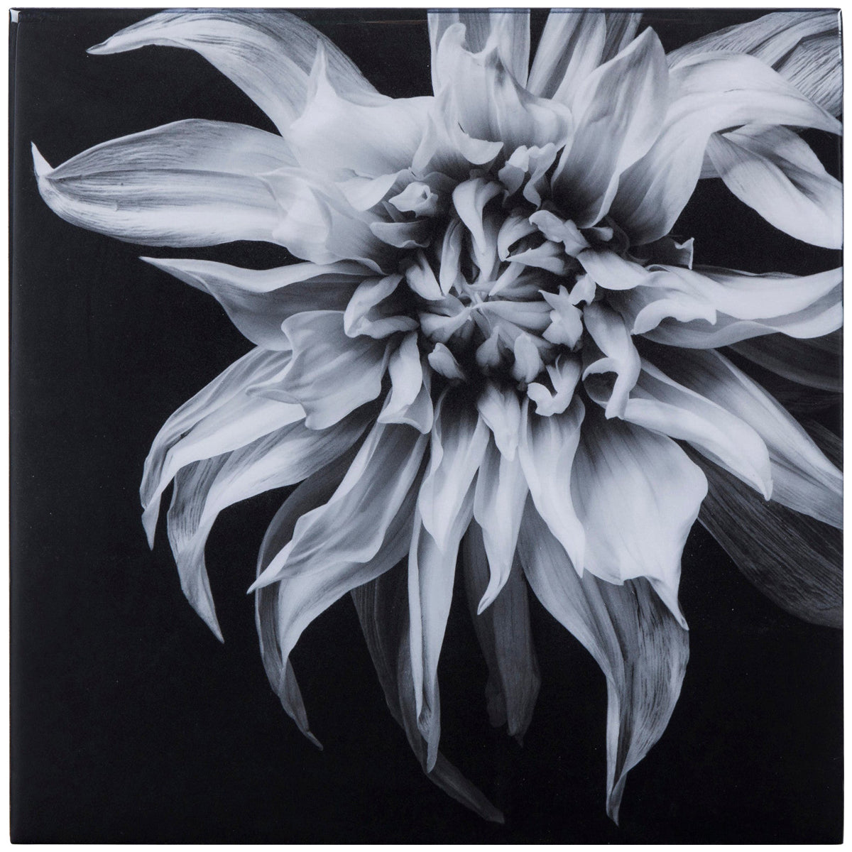  Sonder Living Black & White Flower - Epoxy Art Style F 