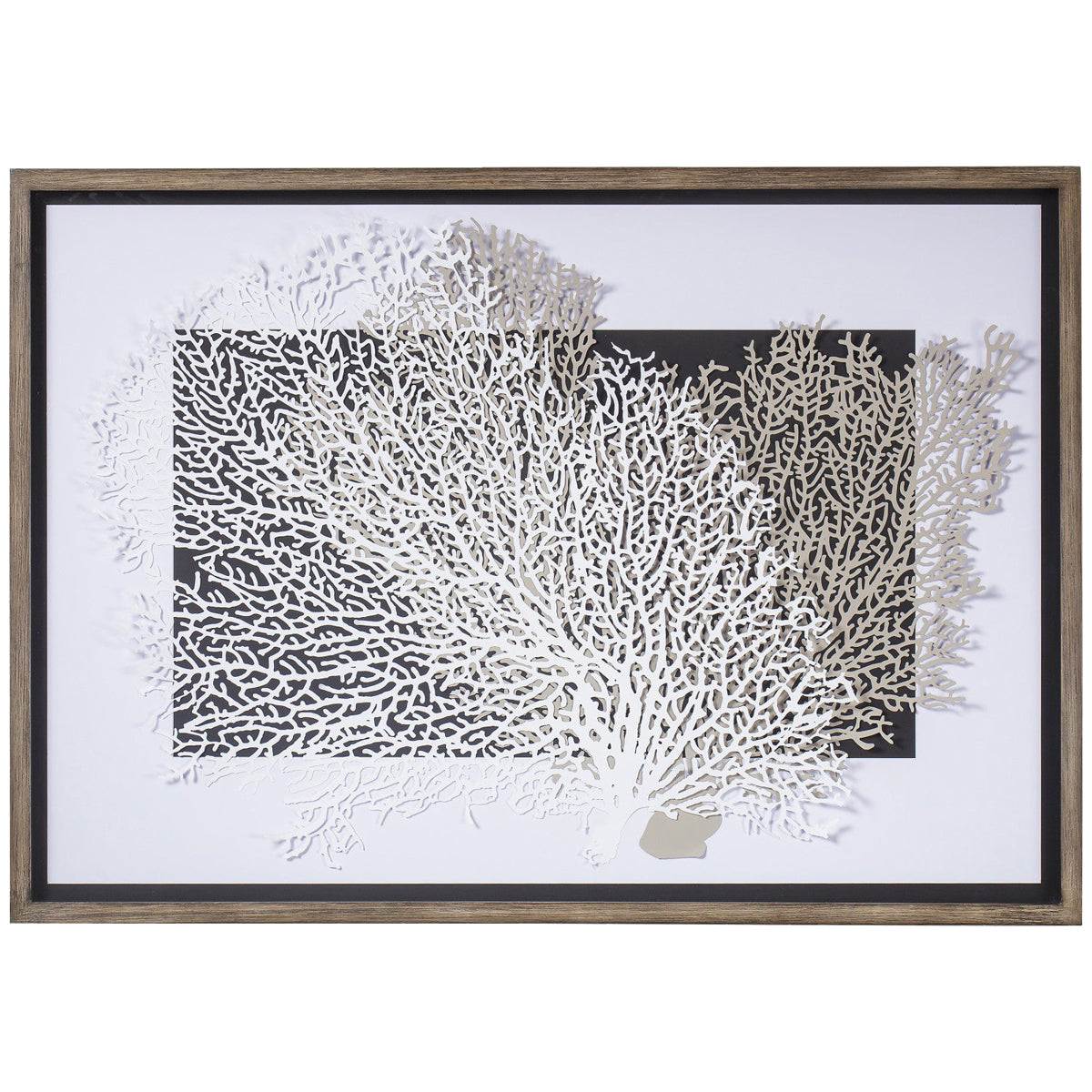  Coup & Co White and Grey Coral Art 