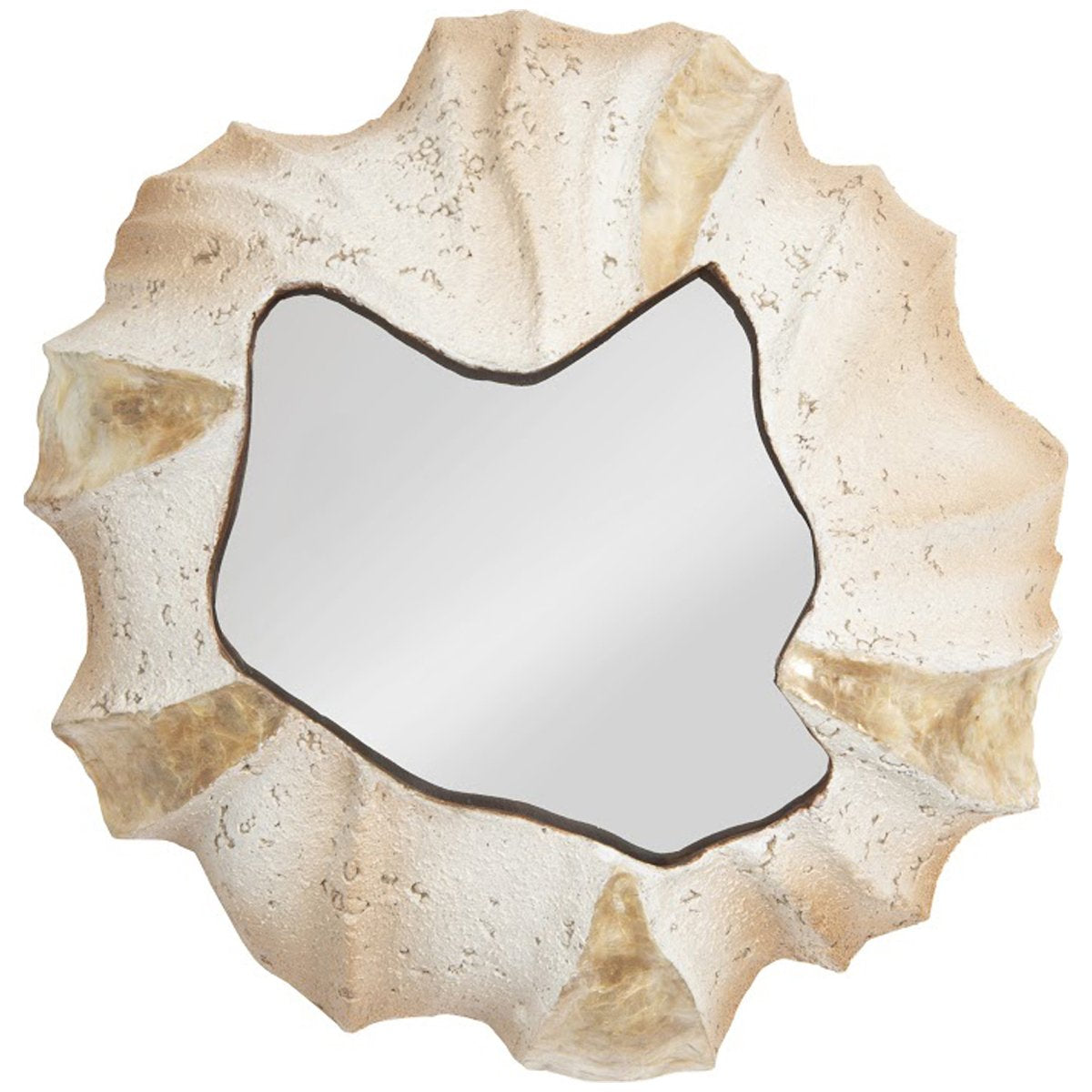  Phillips Collection Barnacle Wall Art 