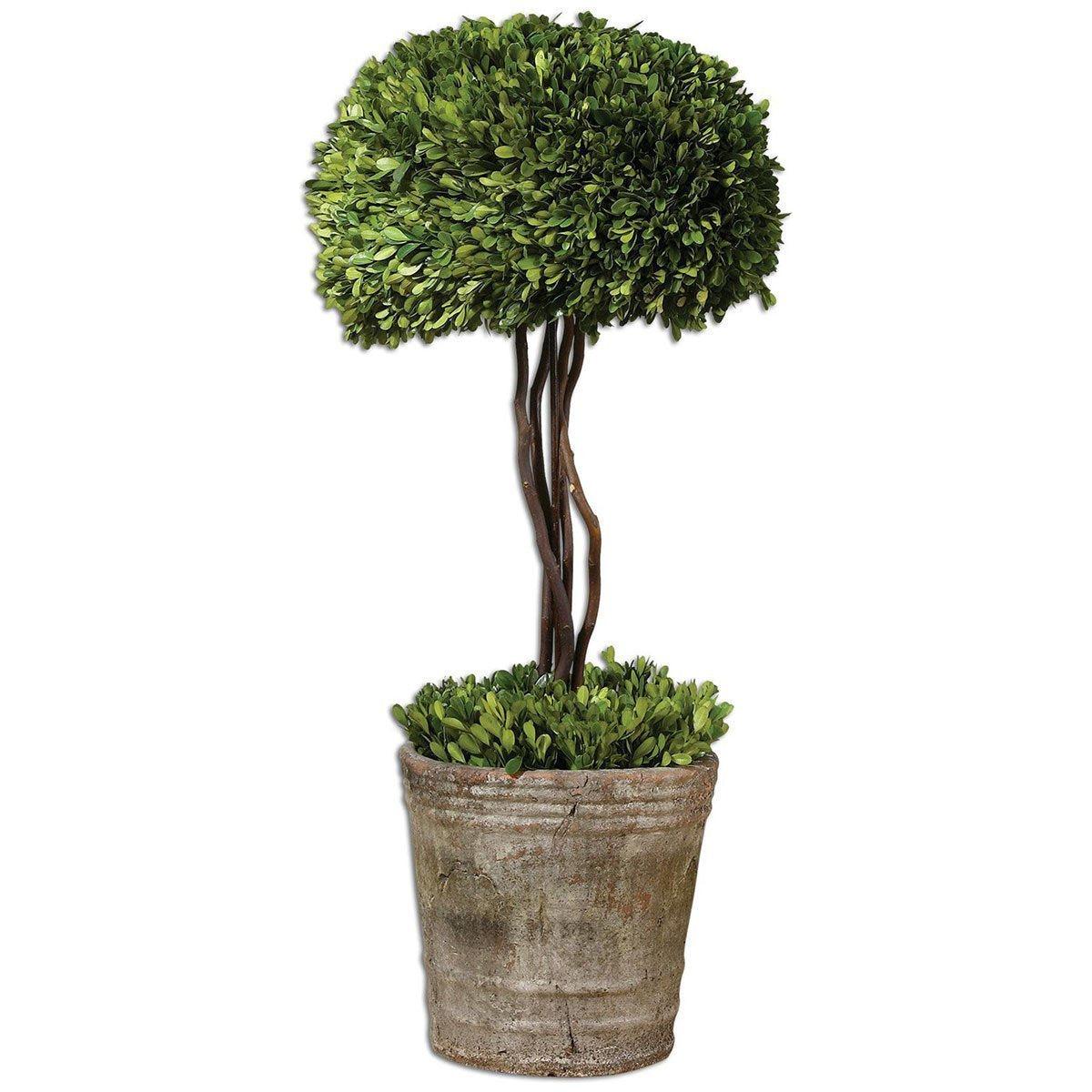  Uttermost Tree Topiary Preserved Boxwood 