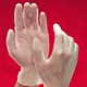 Adenna Vinyl Exam Gloves, PF 3.9 mil