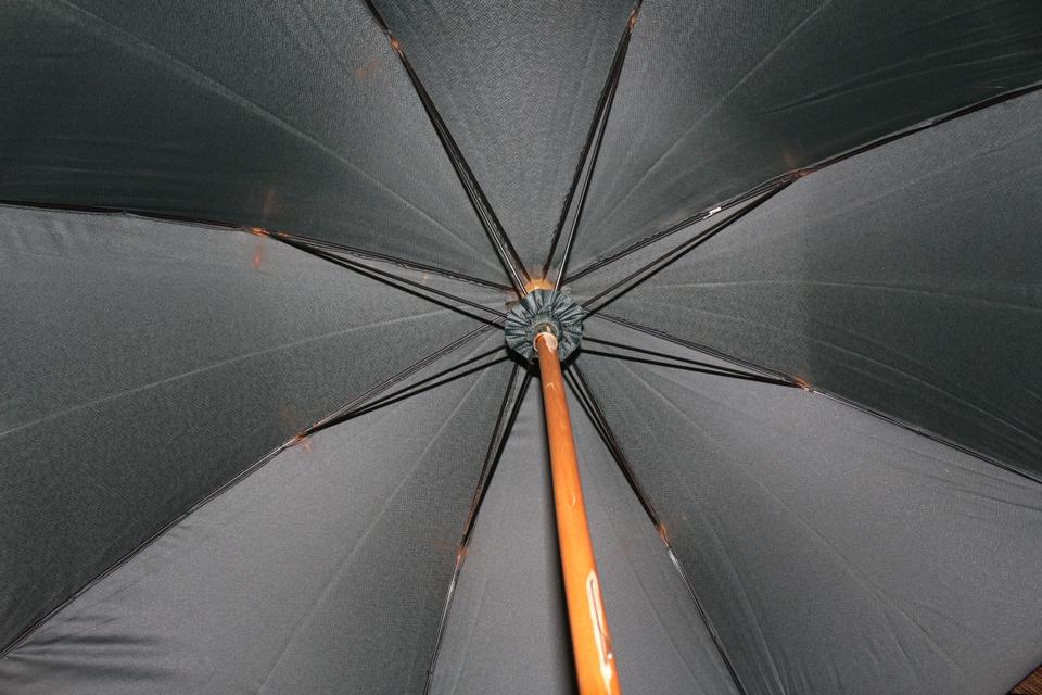 Louis Vuitton Green Umbrella 1020lv57