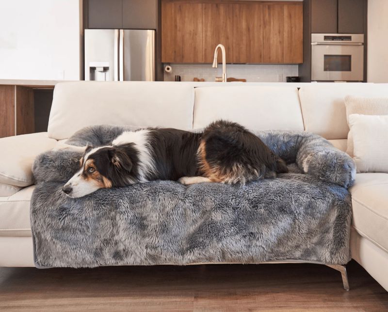 Paw Brands PupProtector? Waterproof Couch Lounger, Charcoal Grey