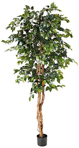 Nearly Natural 6ft. Ficus Artificial Trees, 72in, Green