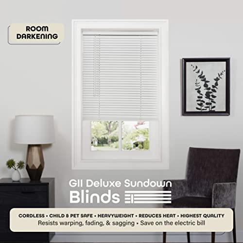 Cordless Room Darkening Mini Blind - 27 Inch Width, 64 Inch Length, 1