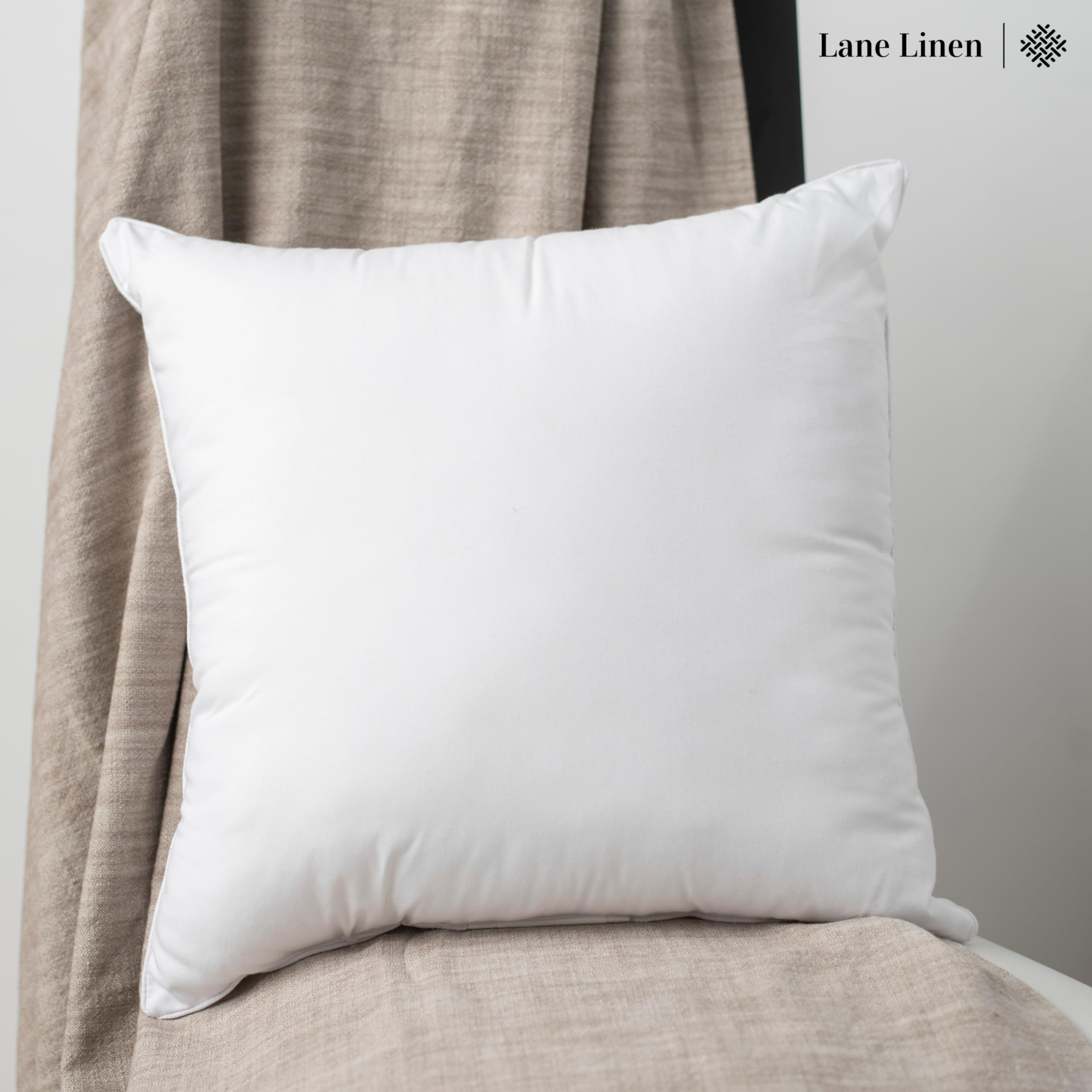 LANE LINEN 18 x 18 Throw Pillow Insert - Pack of 2 White , Down Alternative Pillow Inserts for Decorative Pillow Covers, Throw Pillows for Bed, Couch Pillows for Living Room