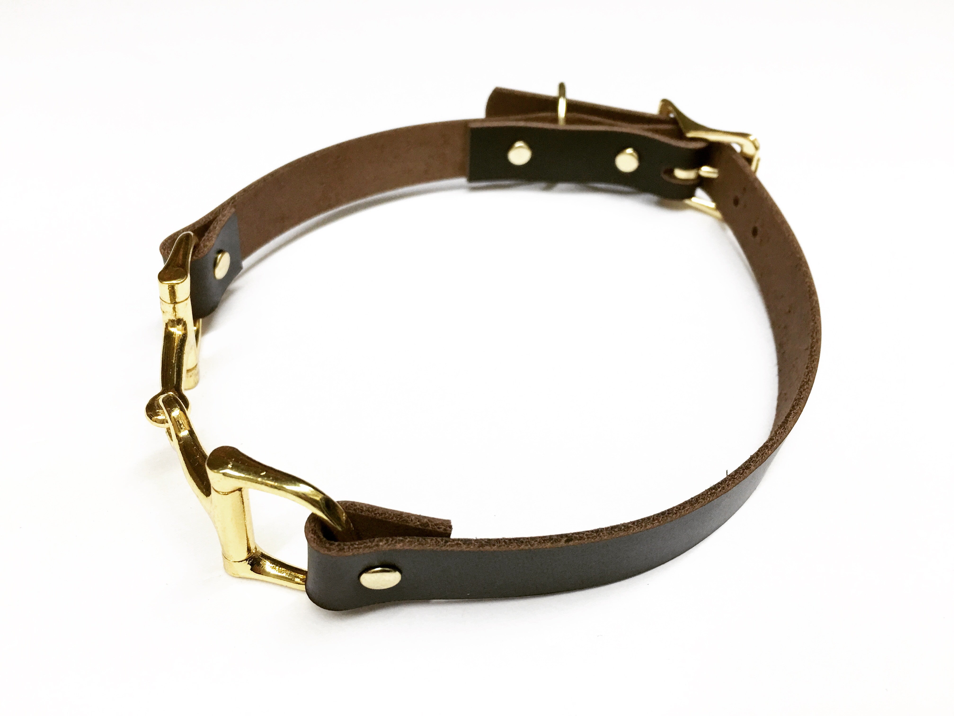 Equestrian Dog Collar