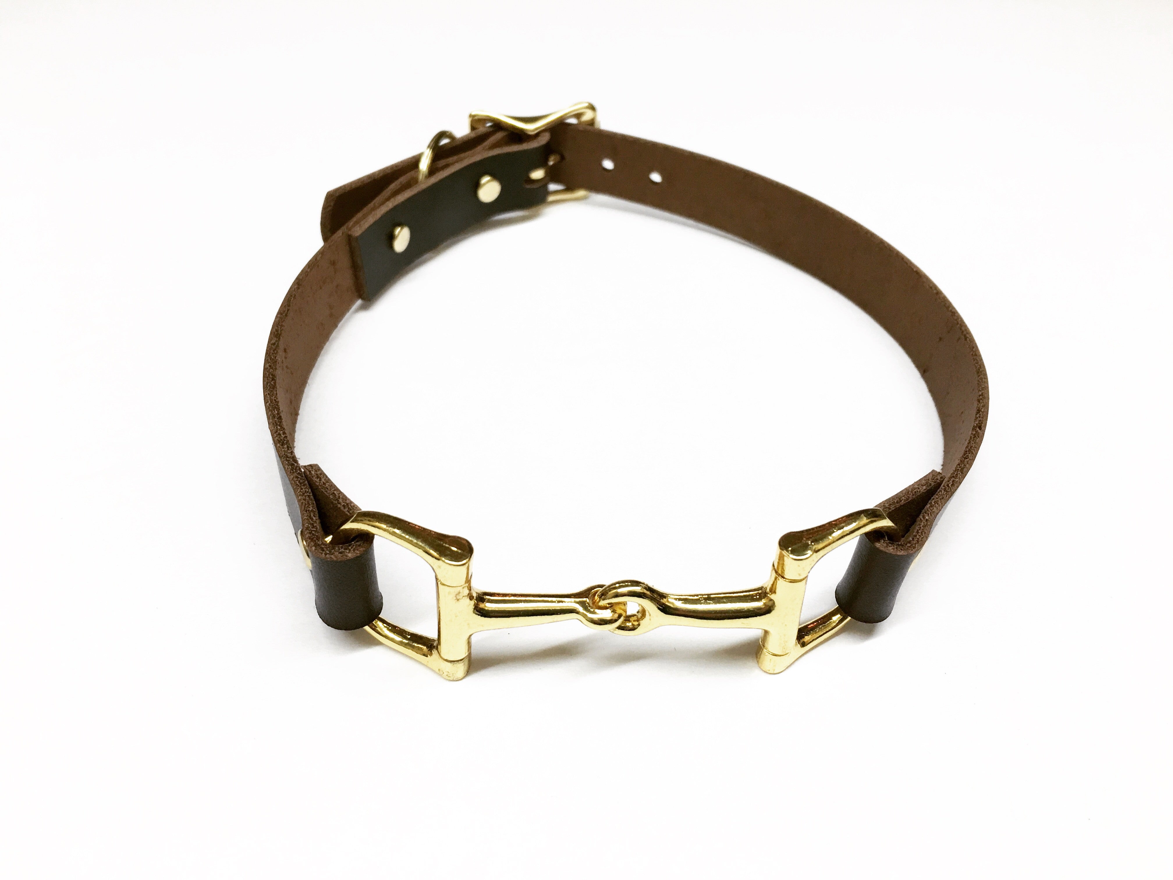 Leather Horse Bit Dog Collar