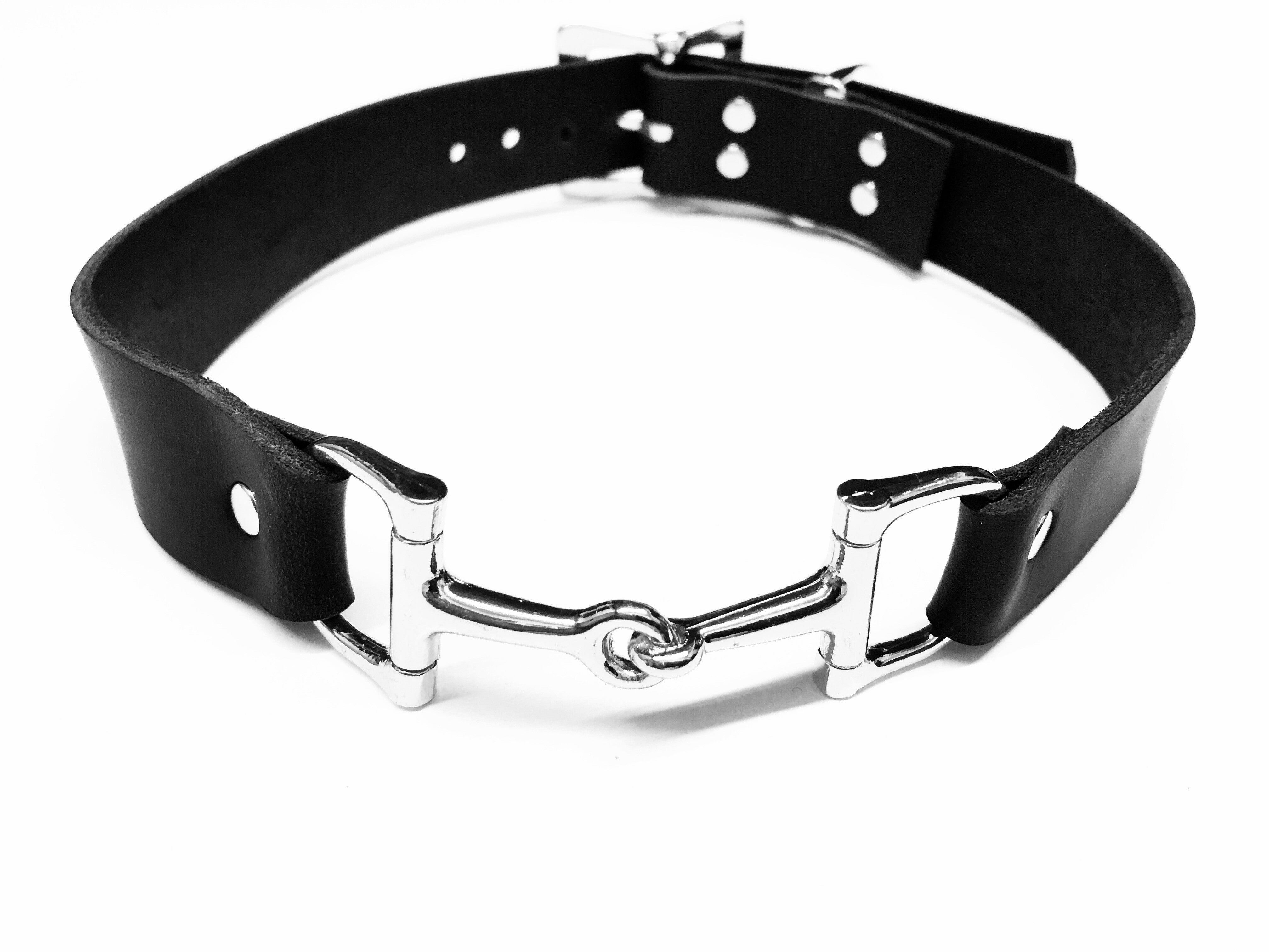 Leather Horse Bit Dog Collar