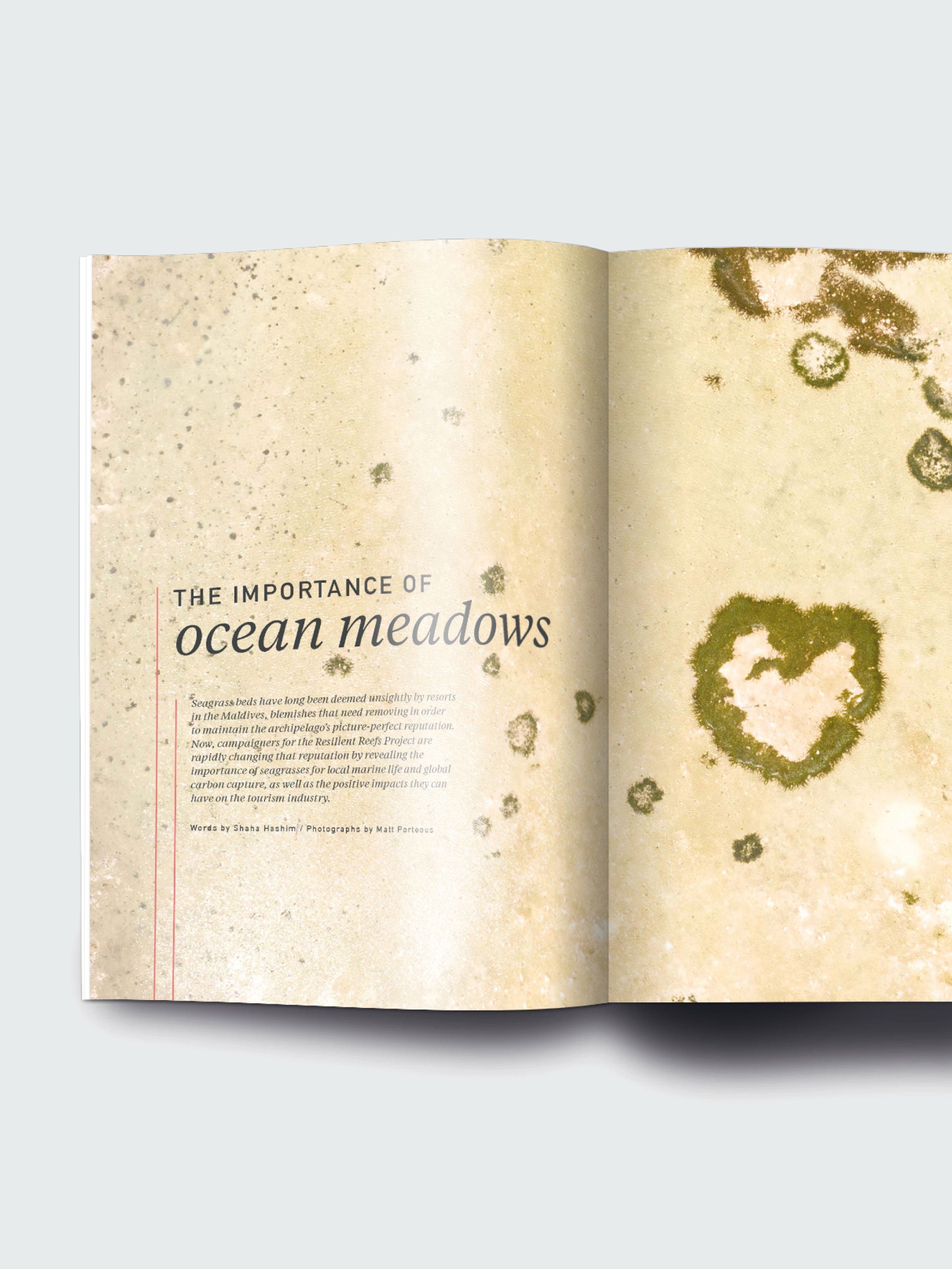 Oceanographic, Issue 14