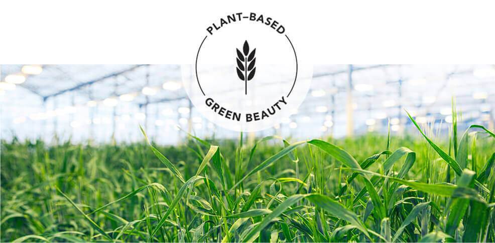 Plant-based – Green beauty