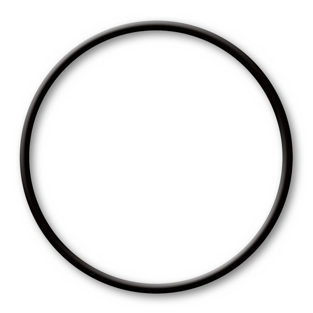  Part 87507 Lid Gasket O-Ring for Model 87501 Automatic Chlorine Feeder 