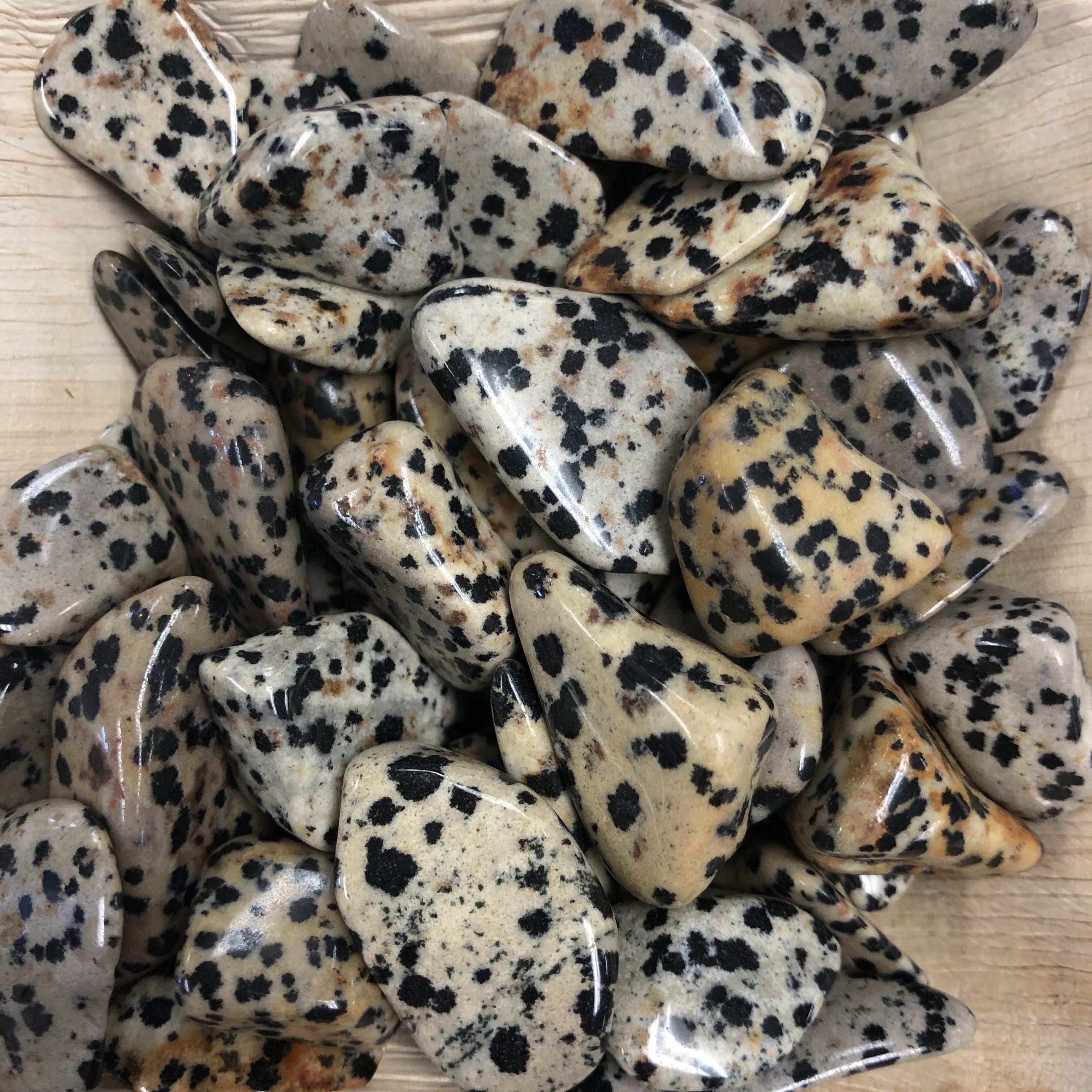 Dalmatian Jasper Tumbles