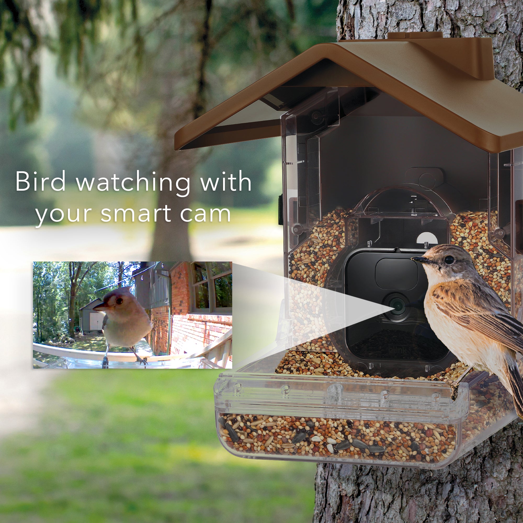 Wasserstein Bird Feeder Camera Case for Ring, Blink & Wyze Cams