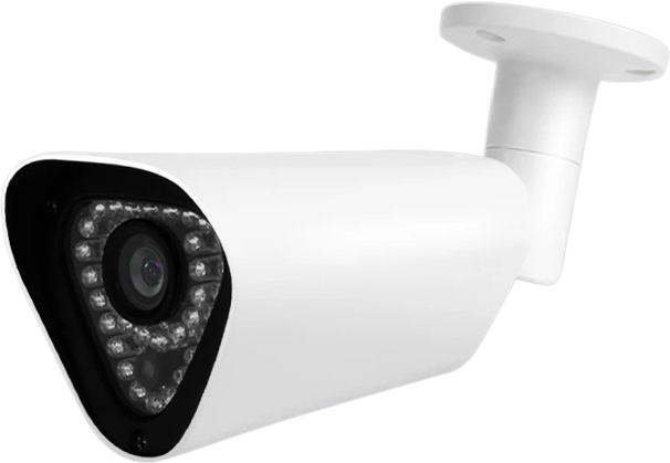 Amaryllo AR4 1080p Infrared Night Vision Biometric Outdoor Security Camera White New