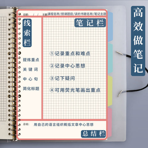 康奈尔笔记法的示意图
