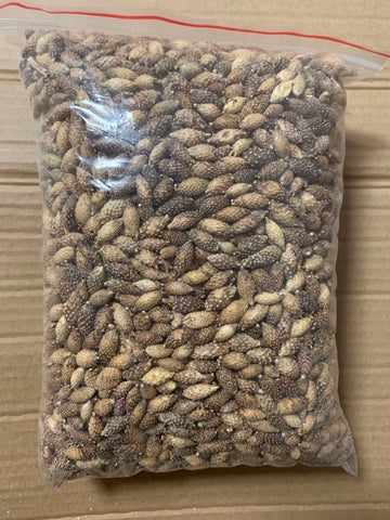 亮亮妈转运到英国的苍耳子干货的照片