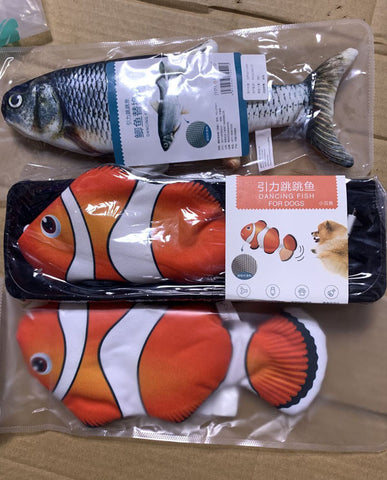 亮亮妈转运到英国的网红跳跳鱼小丑鱼